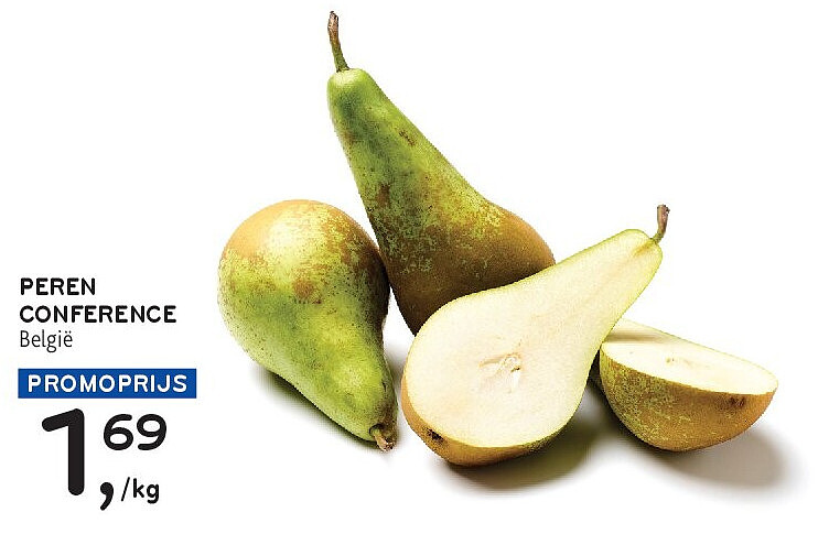 PEREN CONFERENCE