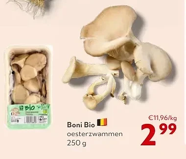 Boni Bio oesterzwammen 250 g