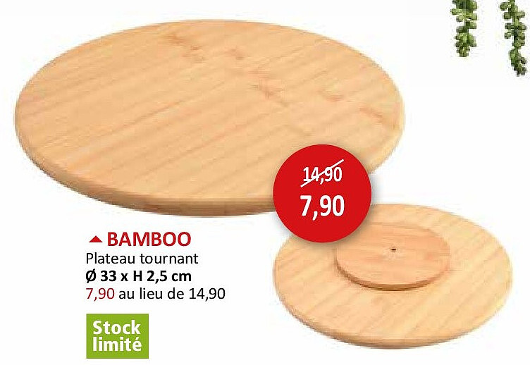 BAMBOO