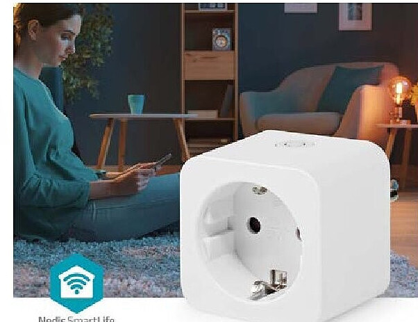 Wifi smart stekker Type E 3680