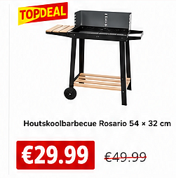 Houtskoolbarbecue Rosario 54 × 32 cm