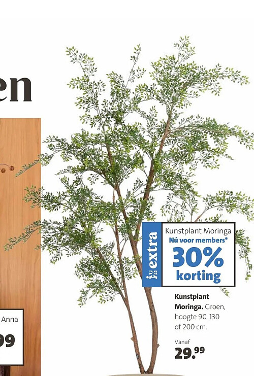 Kunstplant Moringa. Groen, hoogte 90, 130 of 200 cm.