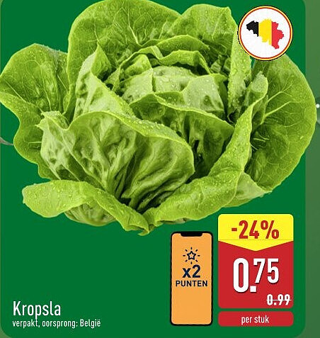 Kropsla