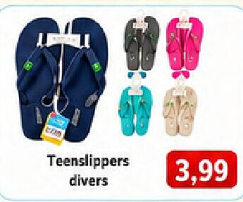 Teenslippers divers