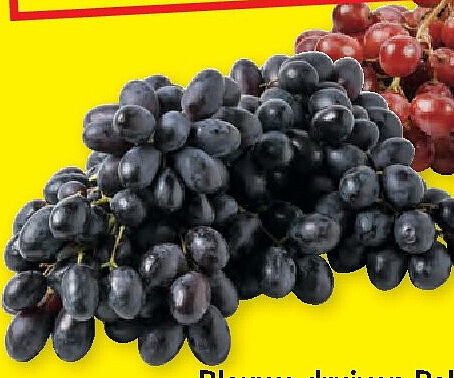 Blauwe druiven Palieri