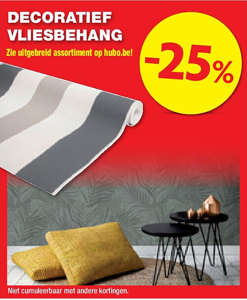 DECORATIEF VLIESBEHANG