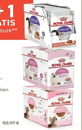 Royal Canin Pouches 12x85g