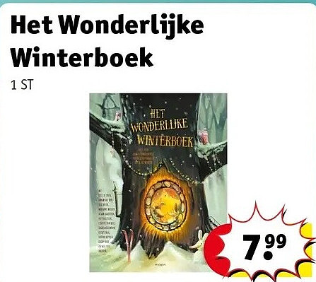 Het Wonderlijke Winterboek