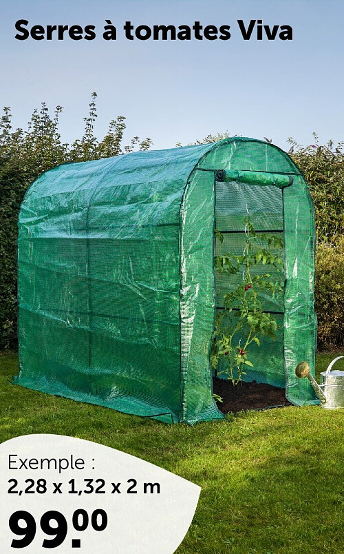 Serres à tomates Viva
