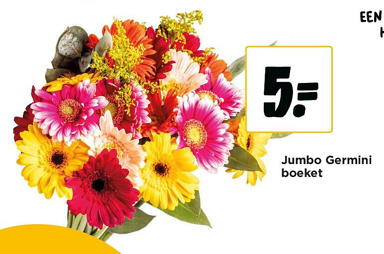 Jumbo Germini boeket