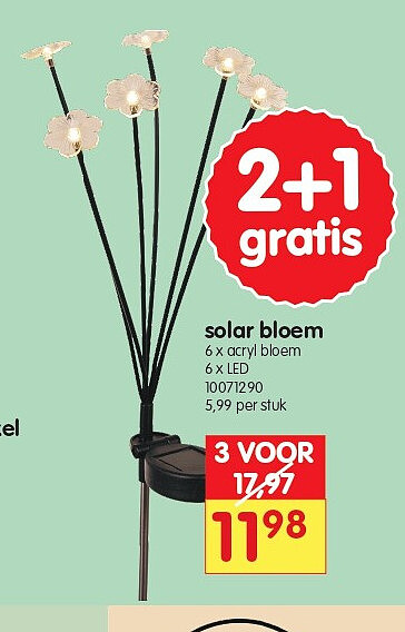 solar bloem