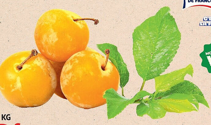 Prunes jaunes ou rouges
