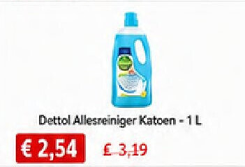 Dettol Allesreiniger Katoen -1 L