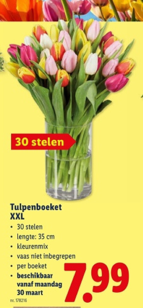 Tulpenboeket XXL