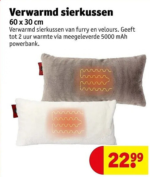 Verwarmd sierkussen