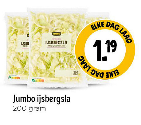 Jumbo ijsbergsla