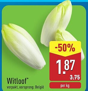 Witloof