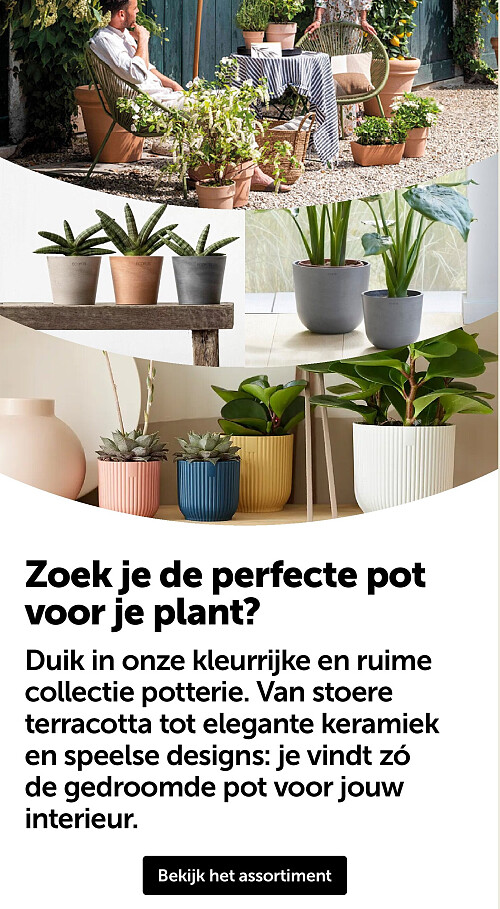 Zoek je de perfecte pot voor je plant
