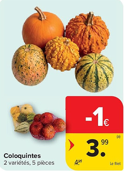 Coloquintes