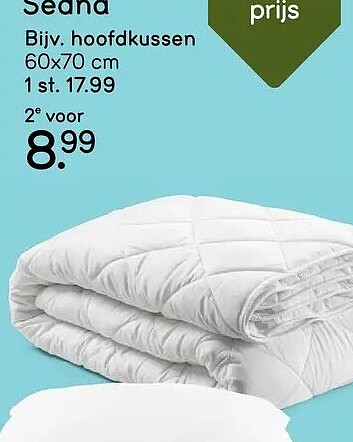 Hoofdkussen en dekbed Sedna