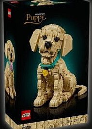 Le chiot Golden Retriever