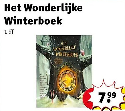 Het Wonderlijke Winterboek