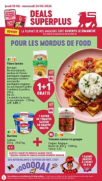 Folder Delhaize