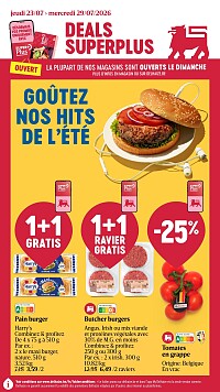 Folder Delhaize