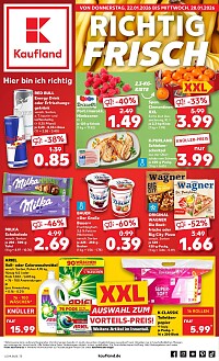 Folder Kaufland