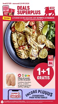 Folder Delhaize