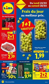 Folder Lidl