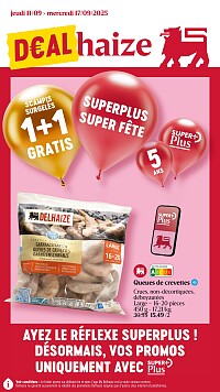 Folder Delhaize