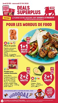 Folder Delhaize