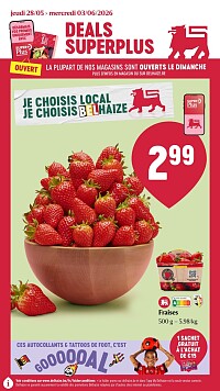 Folder Delhaize