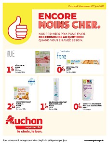 Folder Auchan
