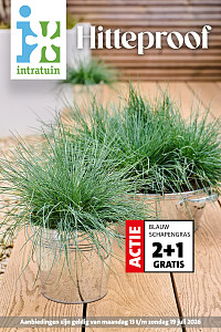 Folder Intratuin
