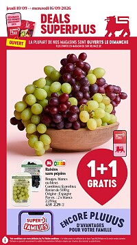 Folder Delhaize