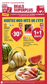Folder Delhaize