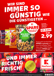 Folder Kaufland