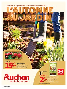 Folder Auchan