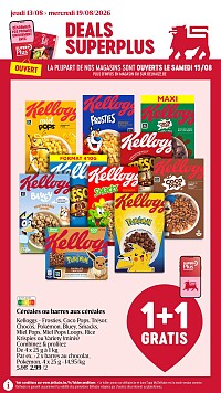 Folder Delhaize