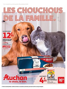 Folder Auchan