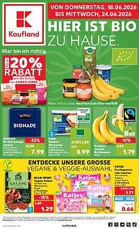 Folder Kaufland