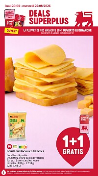 Folder Delhaize