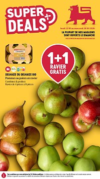 Folder Delhaize