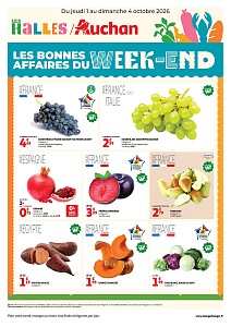 Folder Auchan