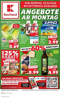 Folder Kaufland