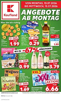 Folder Kaufland