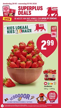 Folder Delhaize