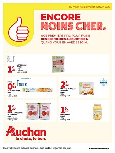 Folder Auchan
